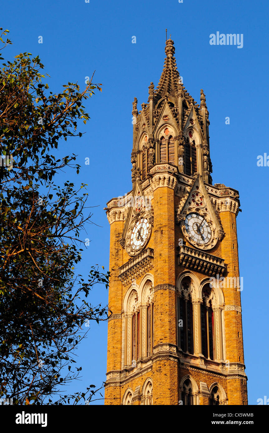 Rajabai Clock Tower a Mumbai University, Mumbai, India Foto Stock