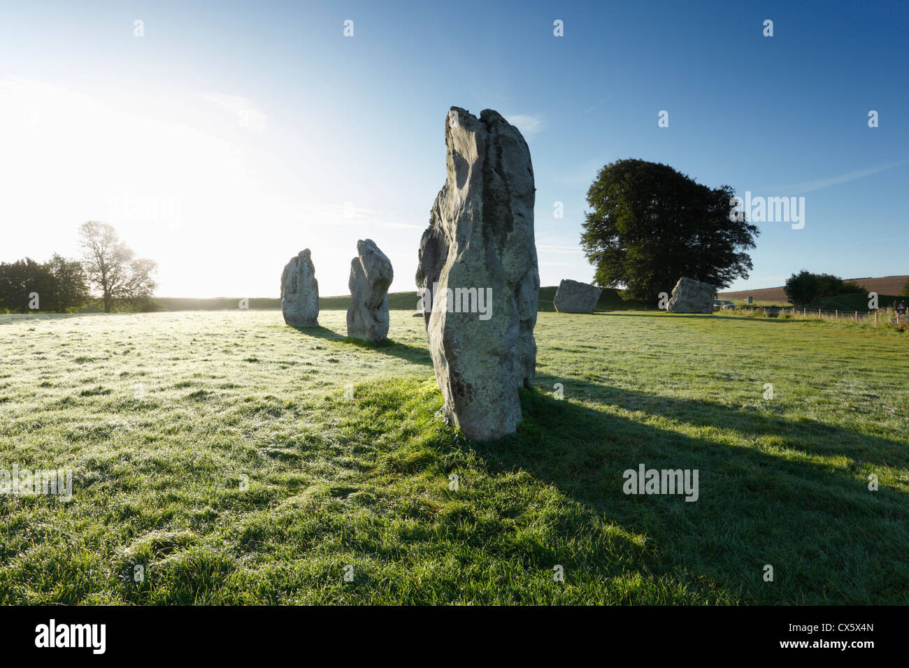Avebury Stone Circle di Sunrise. Wiltshire. In Inghilterra. Regno Unito. Foto Stock