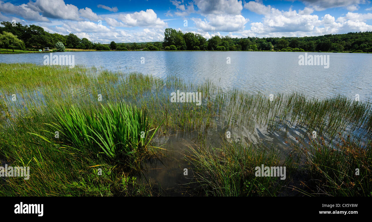 Uno dei più di mille uomo fatto laghi Brenne Parco Nazionale, Indre, Francia. Questo lago si trova nei pressi del villaggio di linge. Foto Stock