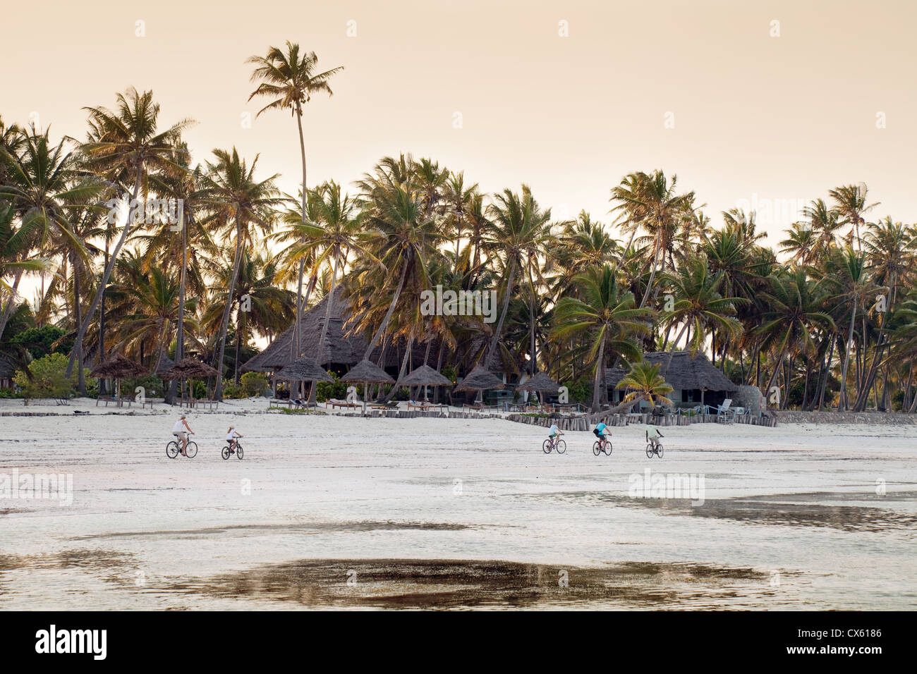 Persone in bicicletta sulla spiaggia al tramonto, Bjewuu, Zanzibar Africa Foto Stock