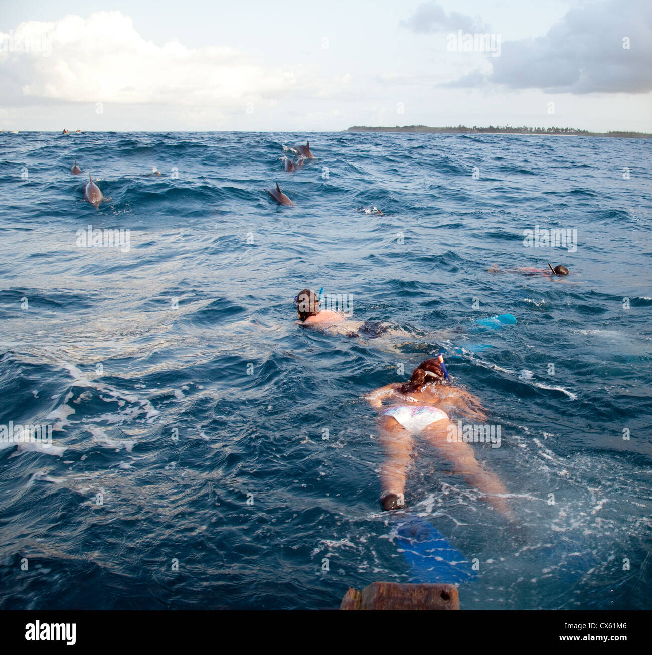 La gente lo snorkeling e il nuoto con i delfini, Zanzibar Africa Foto Stock