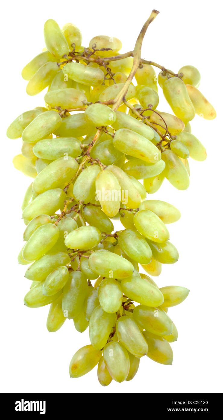 Mazzetto di varietà husain uva bianca isolata su sfondo bianco Foto Stock