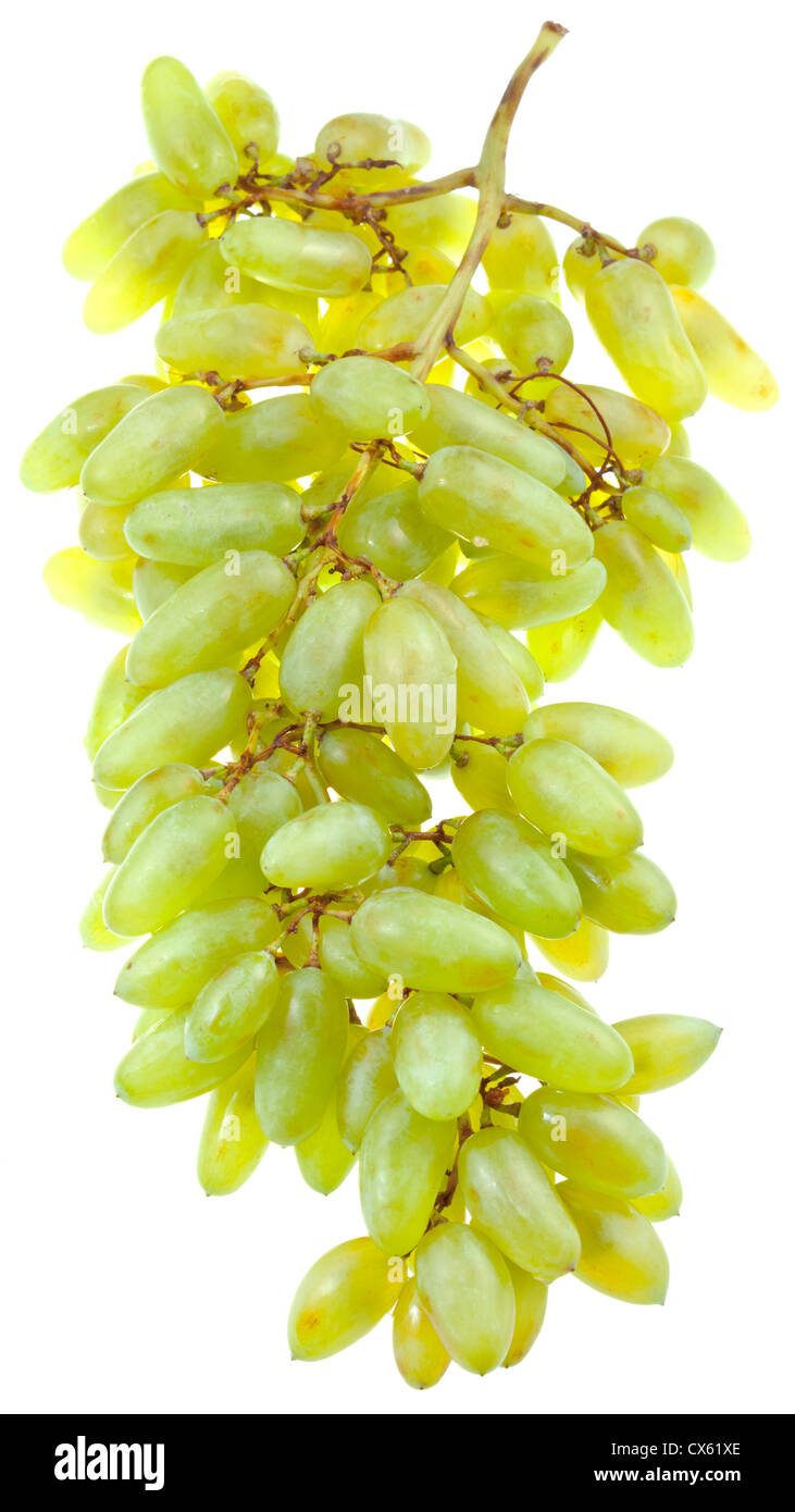 Varietà husain uva bianca isolata su sfondo bianco Foto Stock