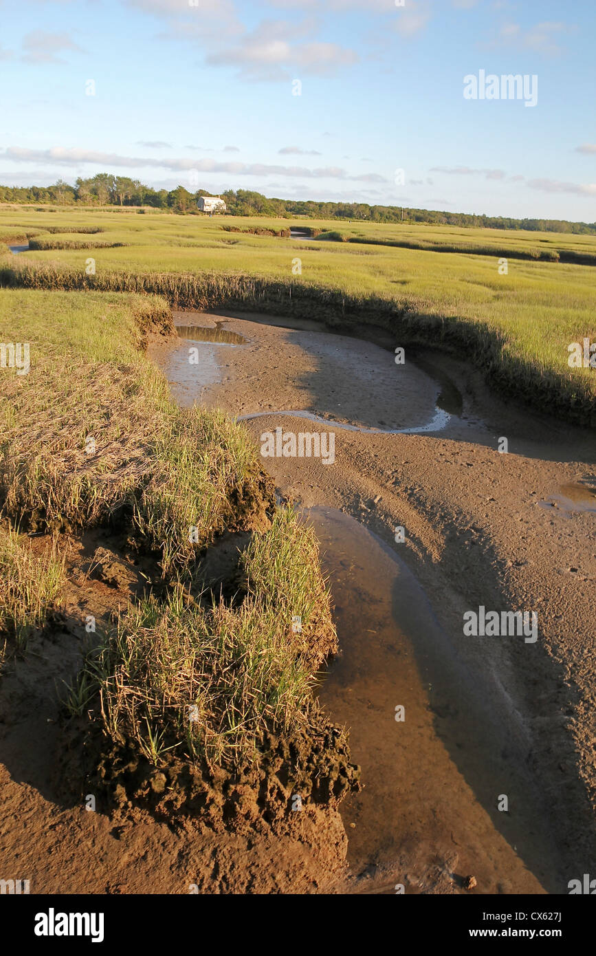 Zone umide in Grays Beach, Yarmouthport, Cape Cod, Massachusetts Foto Stock