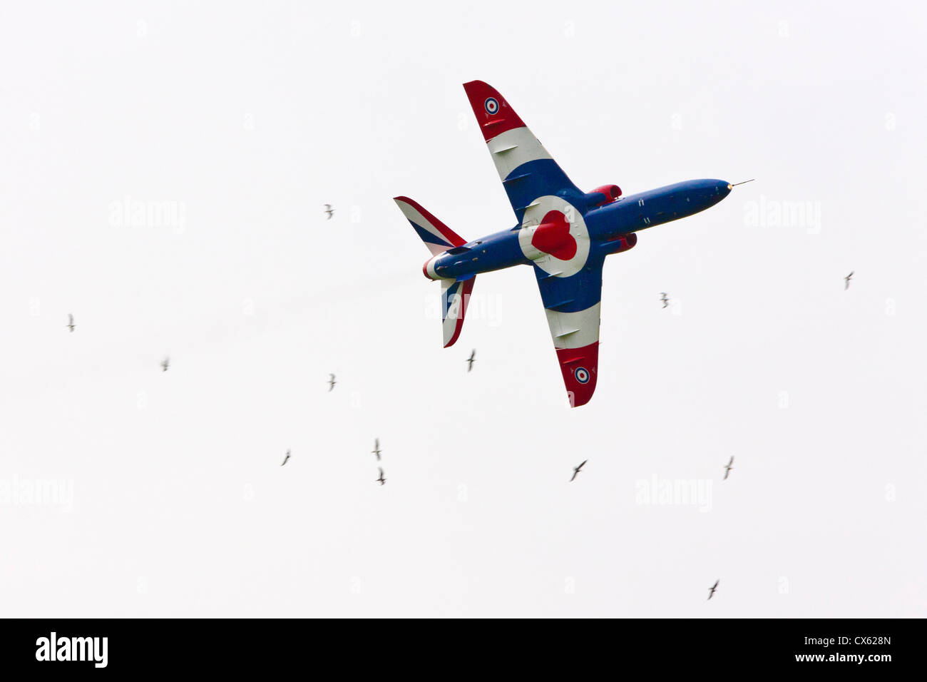 Le frecce rosse Hawk aeromobile in RAF benevolo i colori del fondo al Best of British Show, Cotswold (Kemble EGBP) Aeroporto. JMH6092 Foto Stock