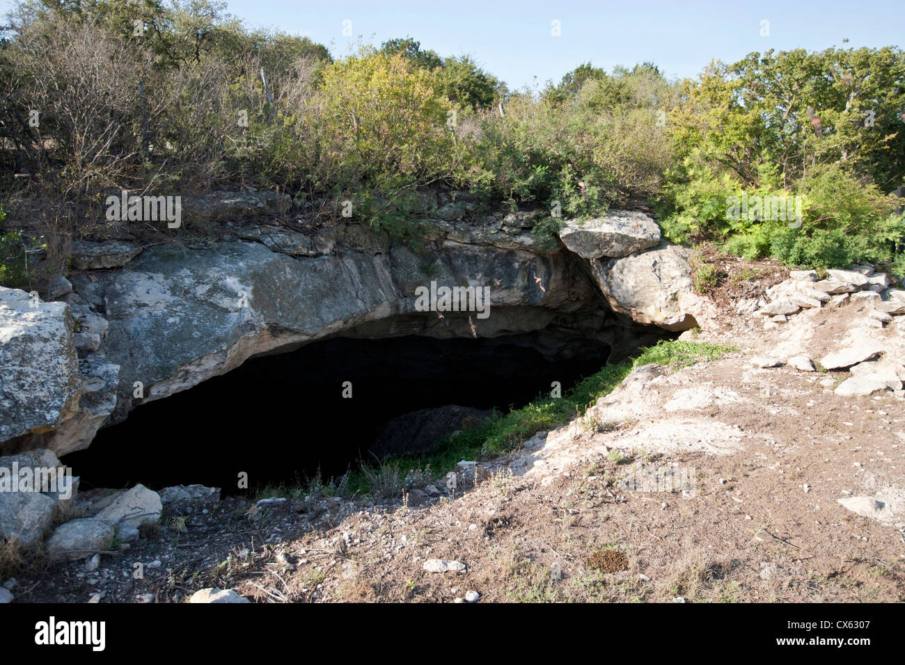 Libera messicano-tailed Bats (Tadarida brasiliensis) andando a Stuart Bat caverna al Kickapoo Cavern State Park, Bracketville, Texas Foto Stock