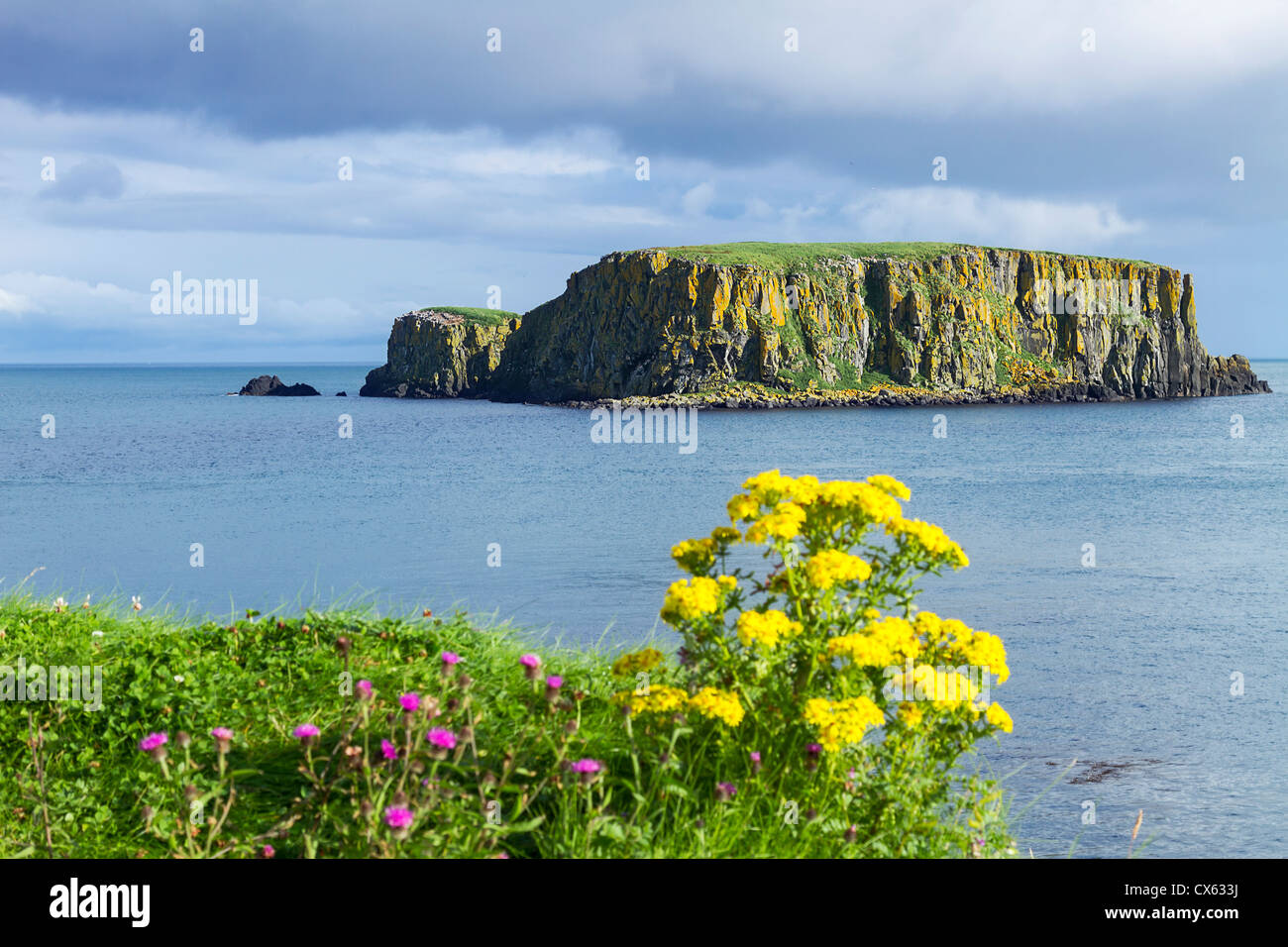 Una piccola isola vicino Il Selciato del gigante, Irlanda del Nord. Focus sull'isola. Foto Stock