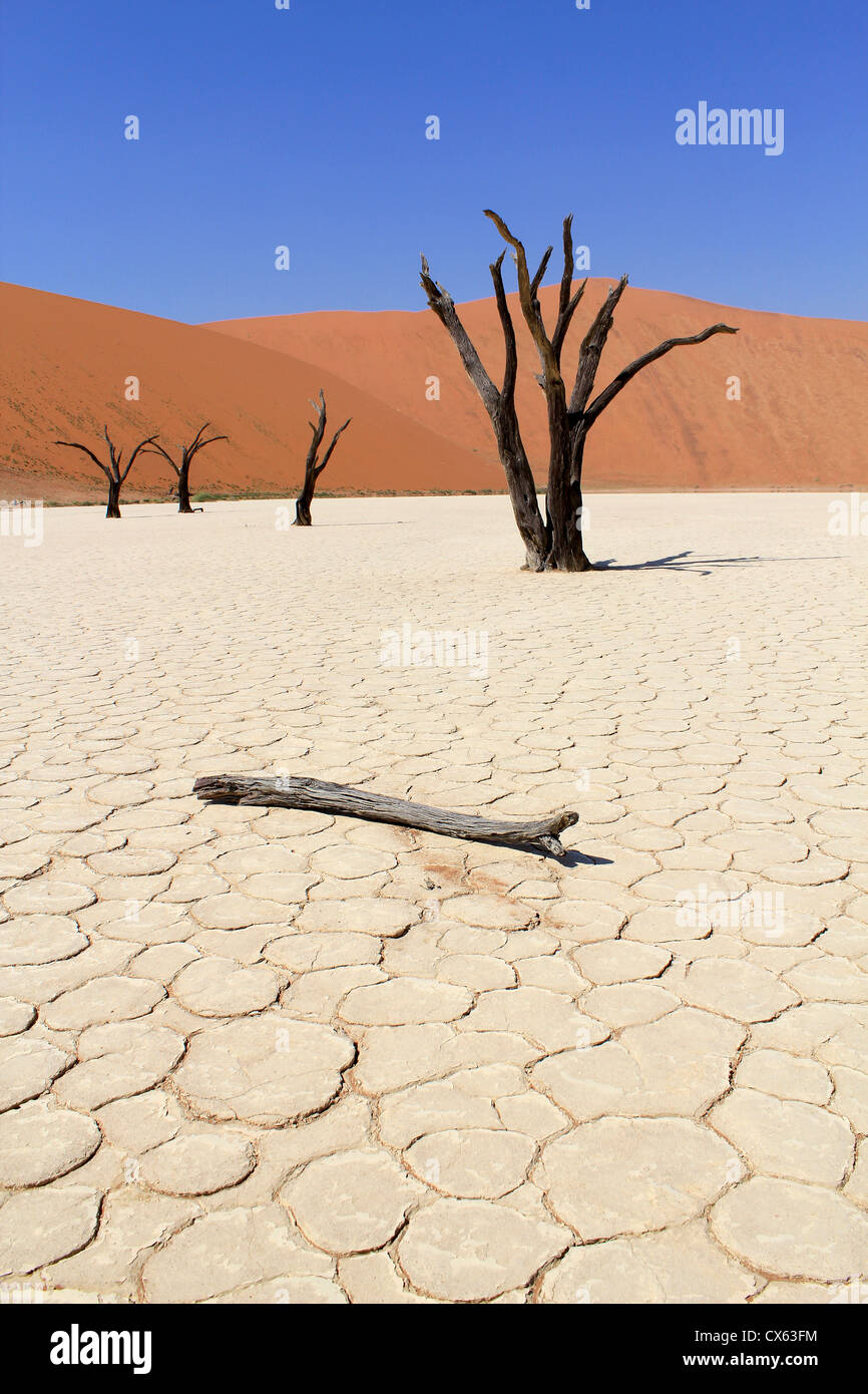 Sossusvlei morti panorama della valle nel deserto Nanib vicino a Sesriem, Namibia Foto Stock