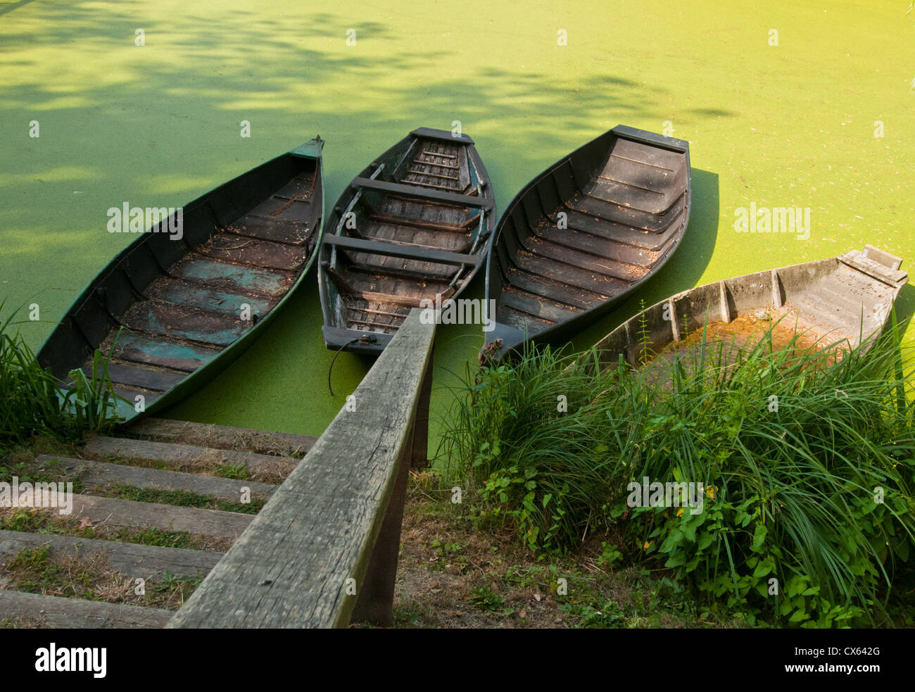 Barche usate in wet Poitou paludi ormeggiato a Maillezais, della Vandea, Pays de la Loire, Francia. Foto Stock