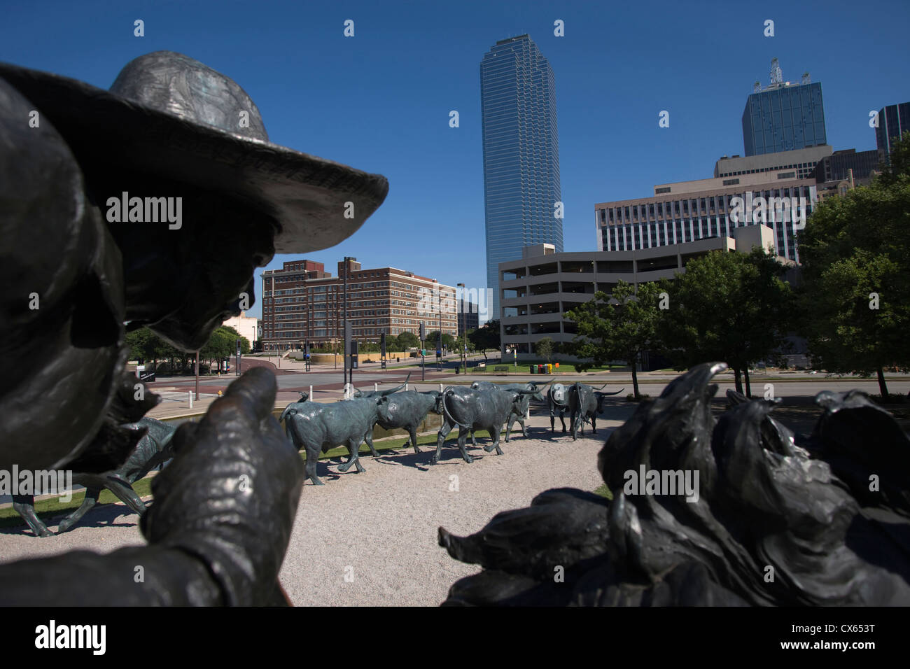 COWBOY SHAWNEE TRAIL Cattle Drive Sculpture (©ROBERT estati 1994) PIONEER PLAZA Downtown Dallas Texas USA Foto Stock