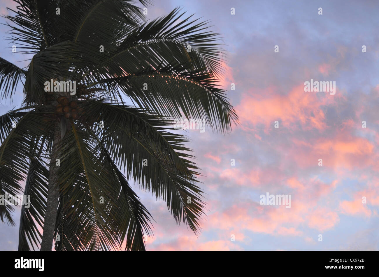 Cieli serali nella bellissima spiaggia Kovalam Foto Stock