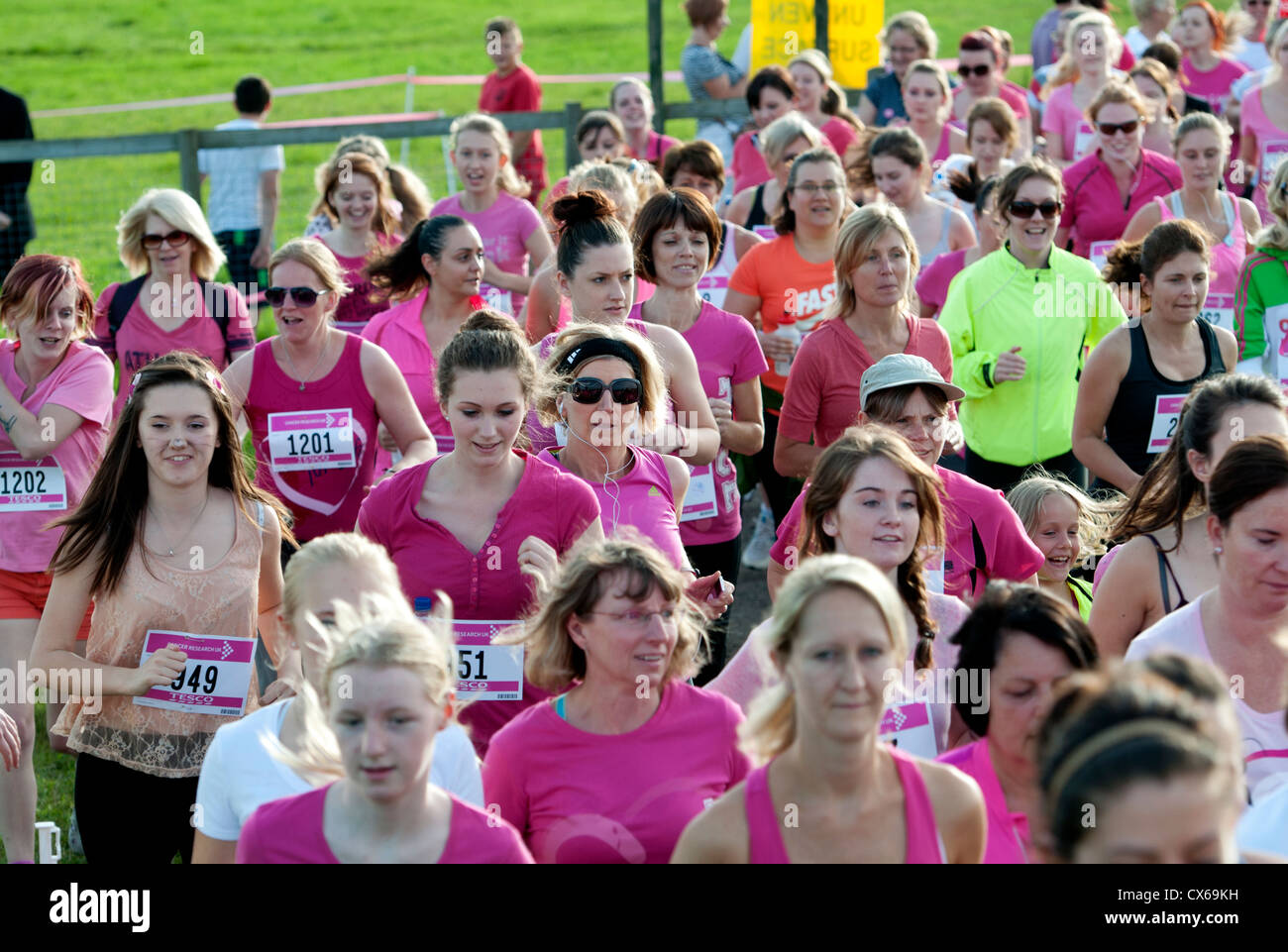 Le donne in gara per la vita a Stratford Racecourse. Foto Stock