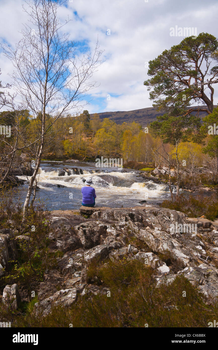 Glen Affric, Fiume Affric, molla, Inverness, Highland Regione, Scozia Foto Stock