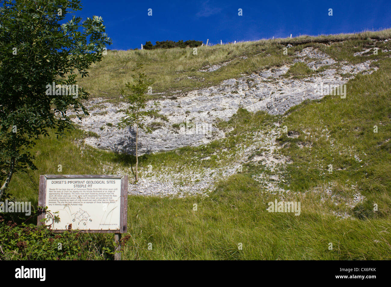Steeple pit sito geologico di interesse vicino alla baia di kimmeridge dorset Inghilterra Foto Stock
