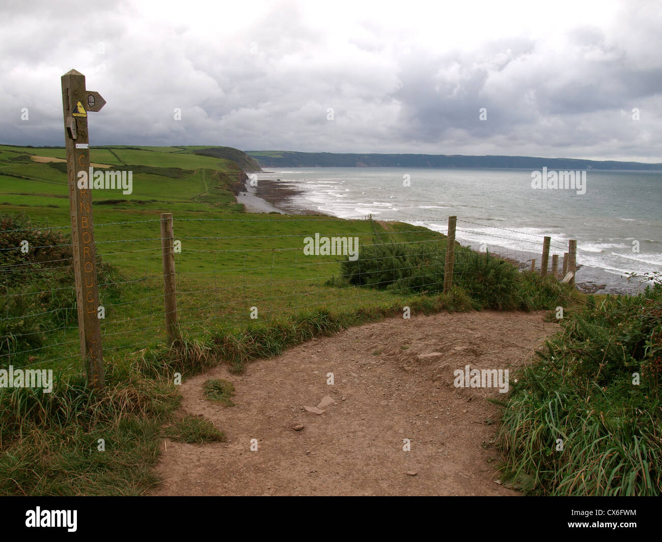 Cornborough Cliff, costa sudovest percorso, North Devon, Regno Unito Foto Stock