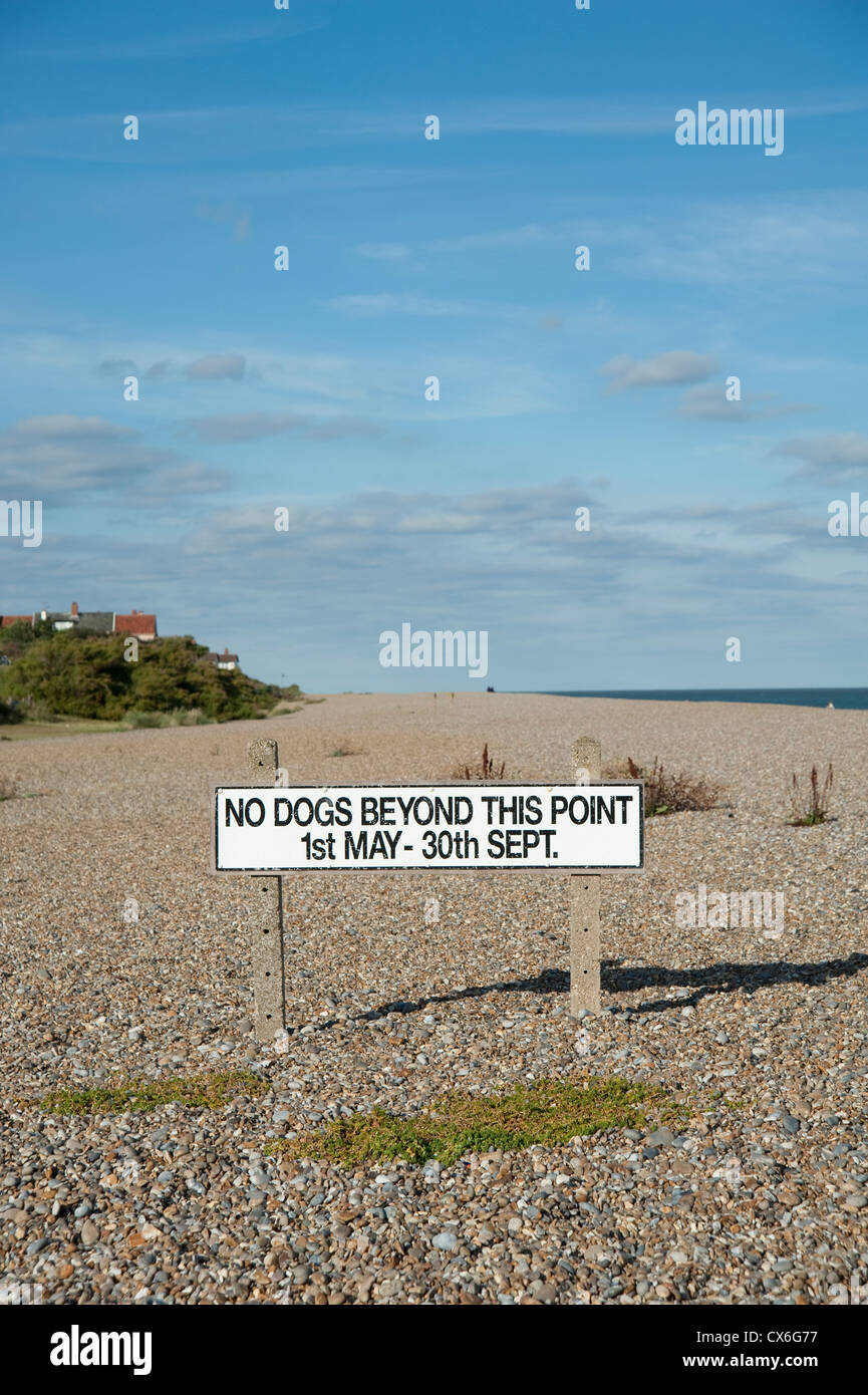 Segno che vieta i cani sulla spiaggia di Thorpeness, Suffolk, Regno Unito Foto Stock