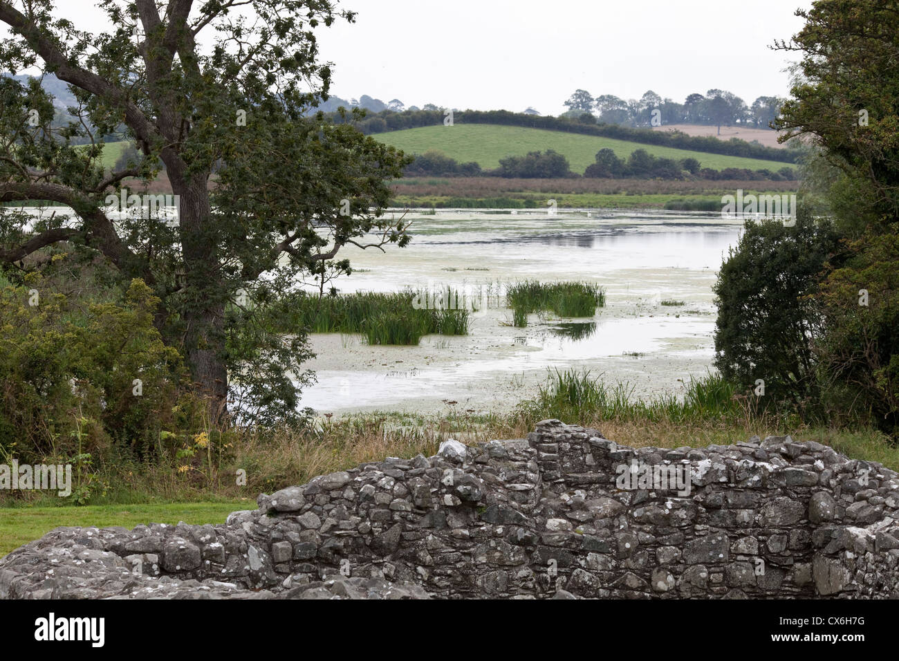 Il fiume Quoile, County Down, Irlanda del Nord Foto Stock