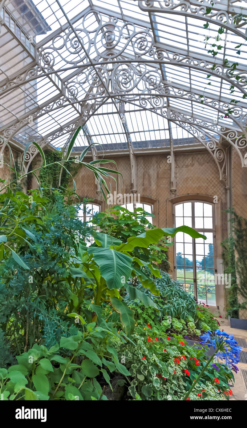 Il conservatorio a strappare Park che mostra le piante e il tetto Foto Stock