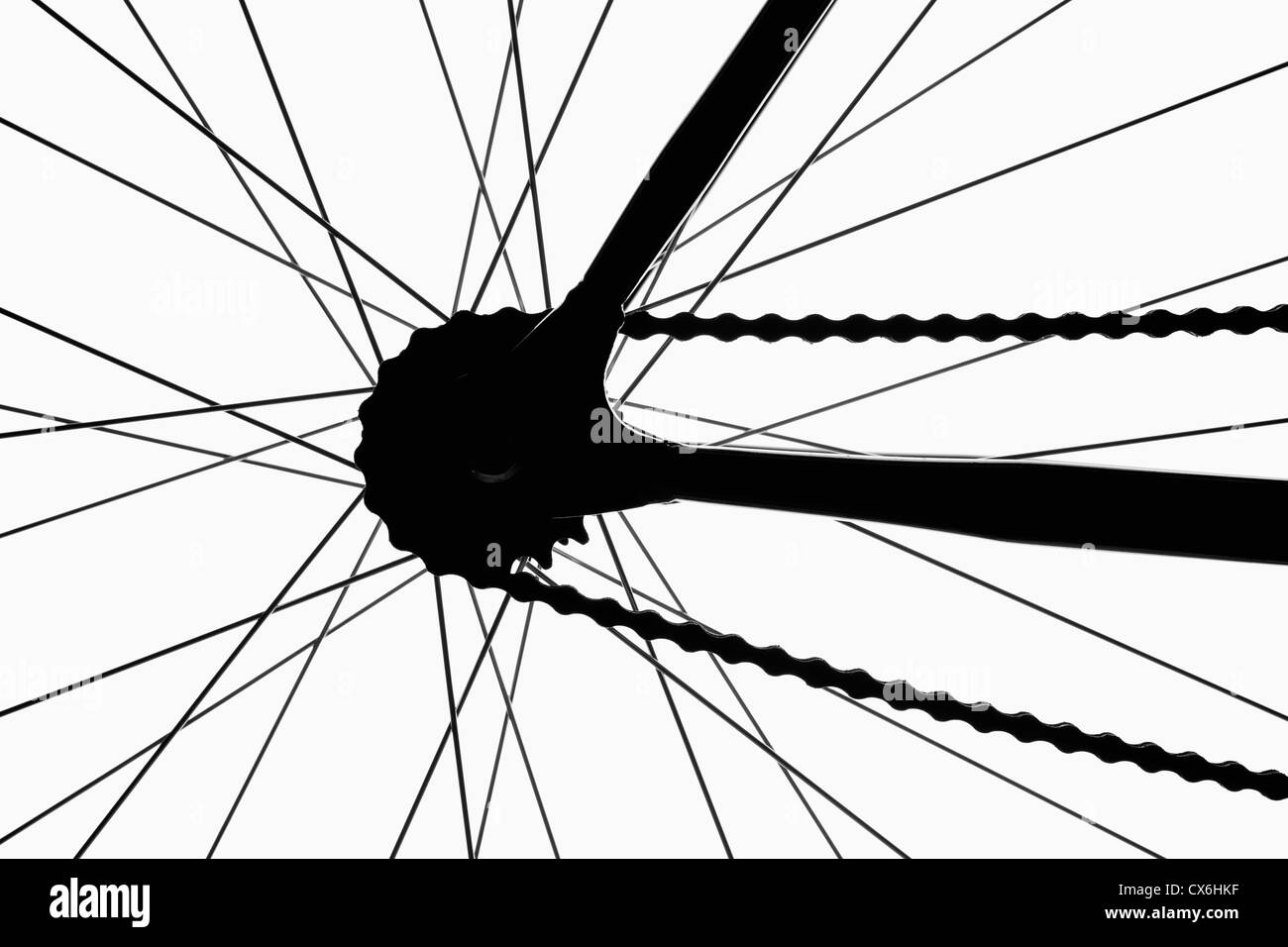 Dettaglio di una ruota di bicicletta, retro illuminato, studio shot Foto Stock
