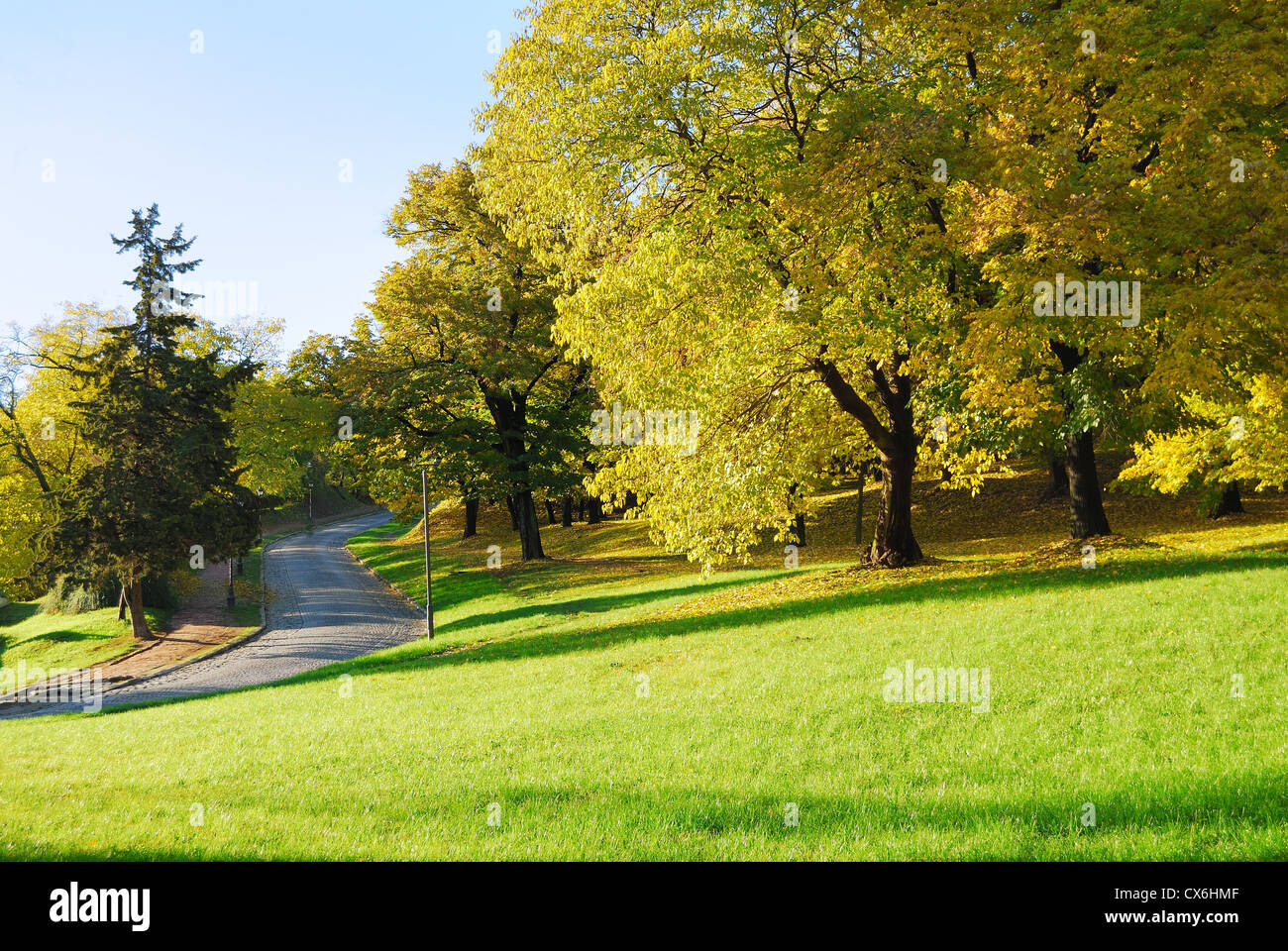 In autunno la luce del mattino nel Parco con percorso a piedi e caduta di alberi di acero Foto Stock