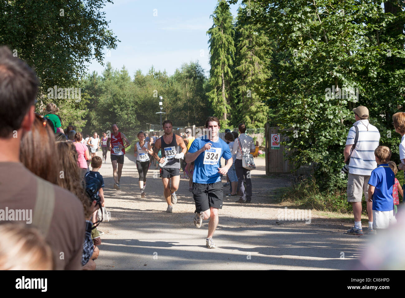 Guide la finitura 10k correre a Alice Holt foresta su pista polverosa guardato da amici Foto Stock
