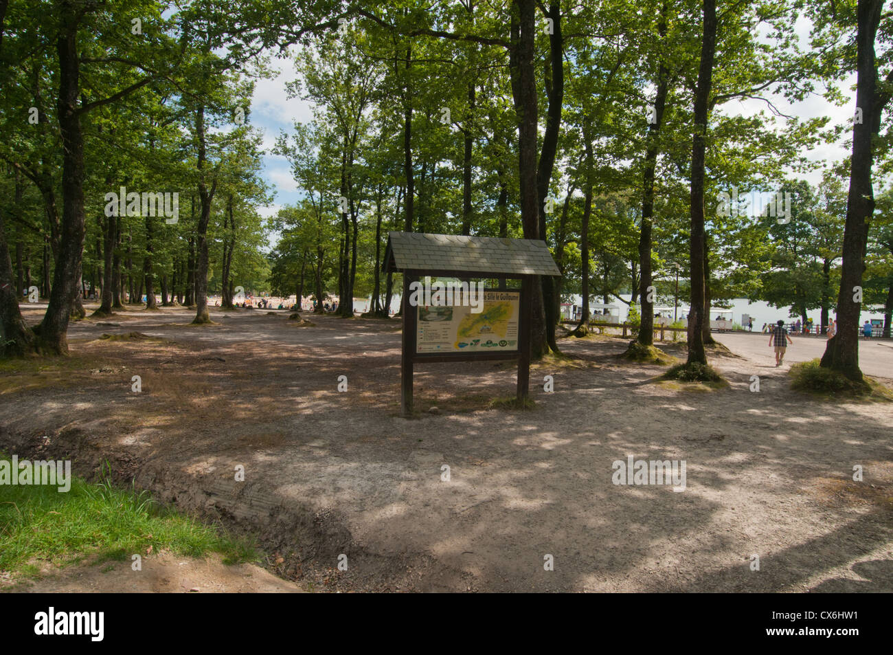 La foresta e il lago di Sillé-le-Guillaume, Sarthe, Pays de la Loire, Francia. Foto Stock