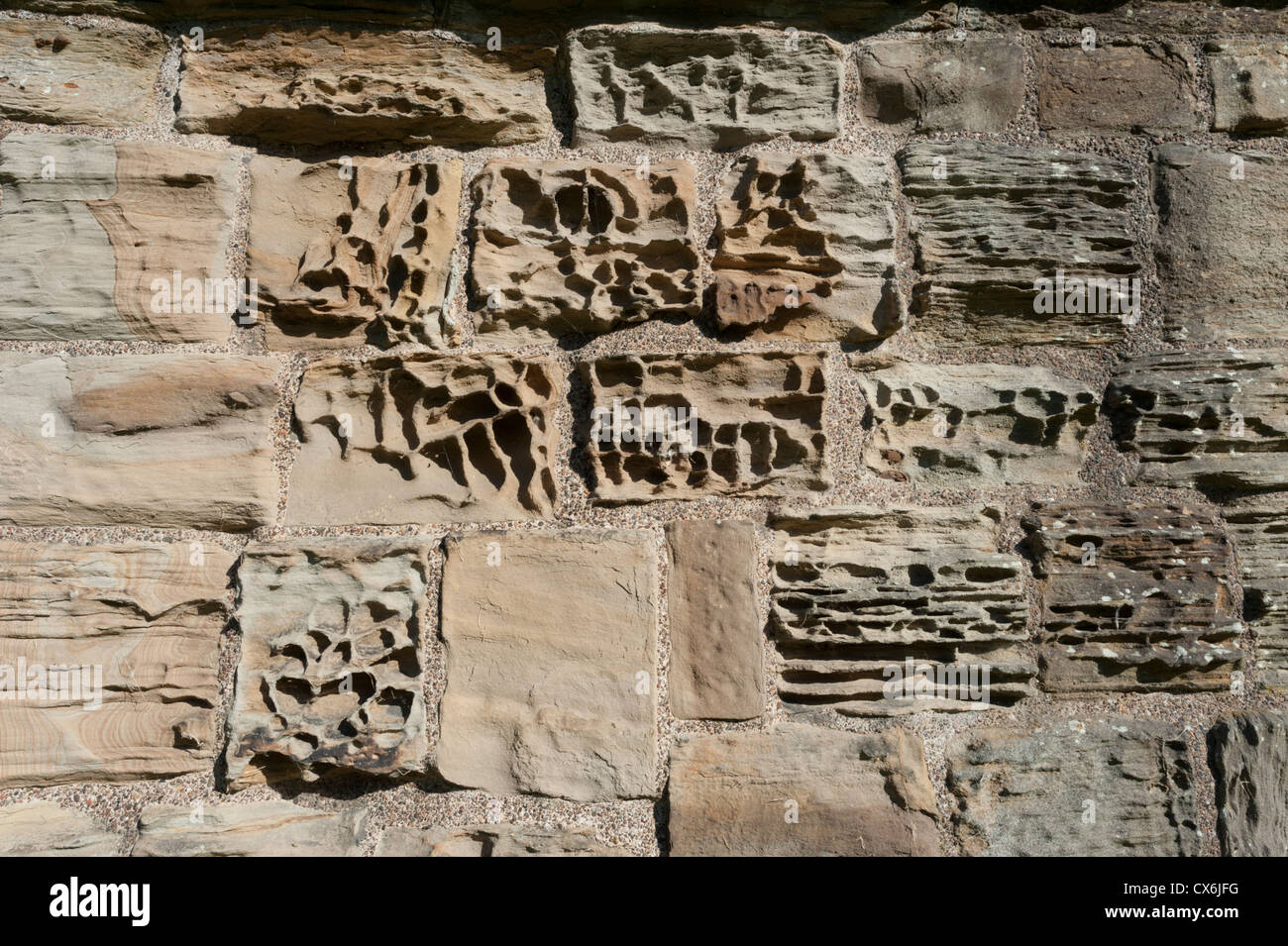 Una parete erosa Finchale Abbazia o priory Durham Regno Unito Foto Stock