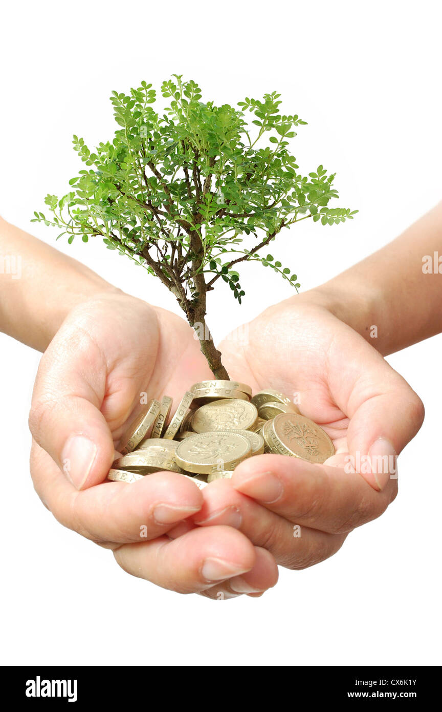 Piccolo albero che cresce da monete Foto Stock