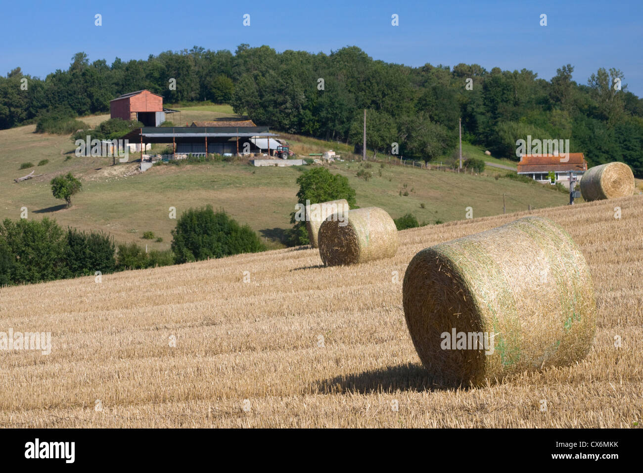 Rotoballa di fieno in un campo di fattoria Foto Stock