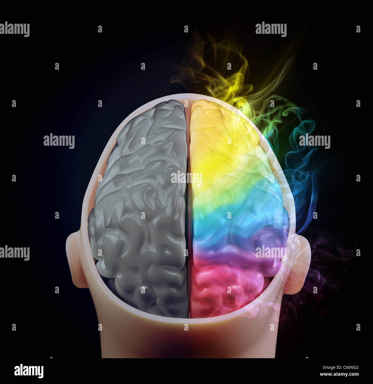 Destra e sinistra emisferi cerebrali - creatività e pensiero analitico concept Foto Stock