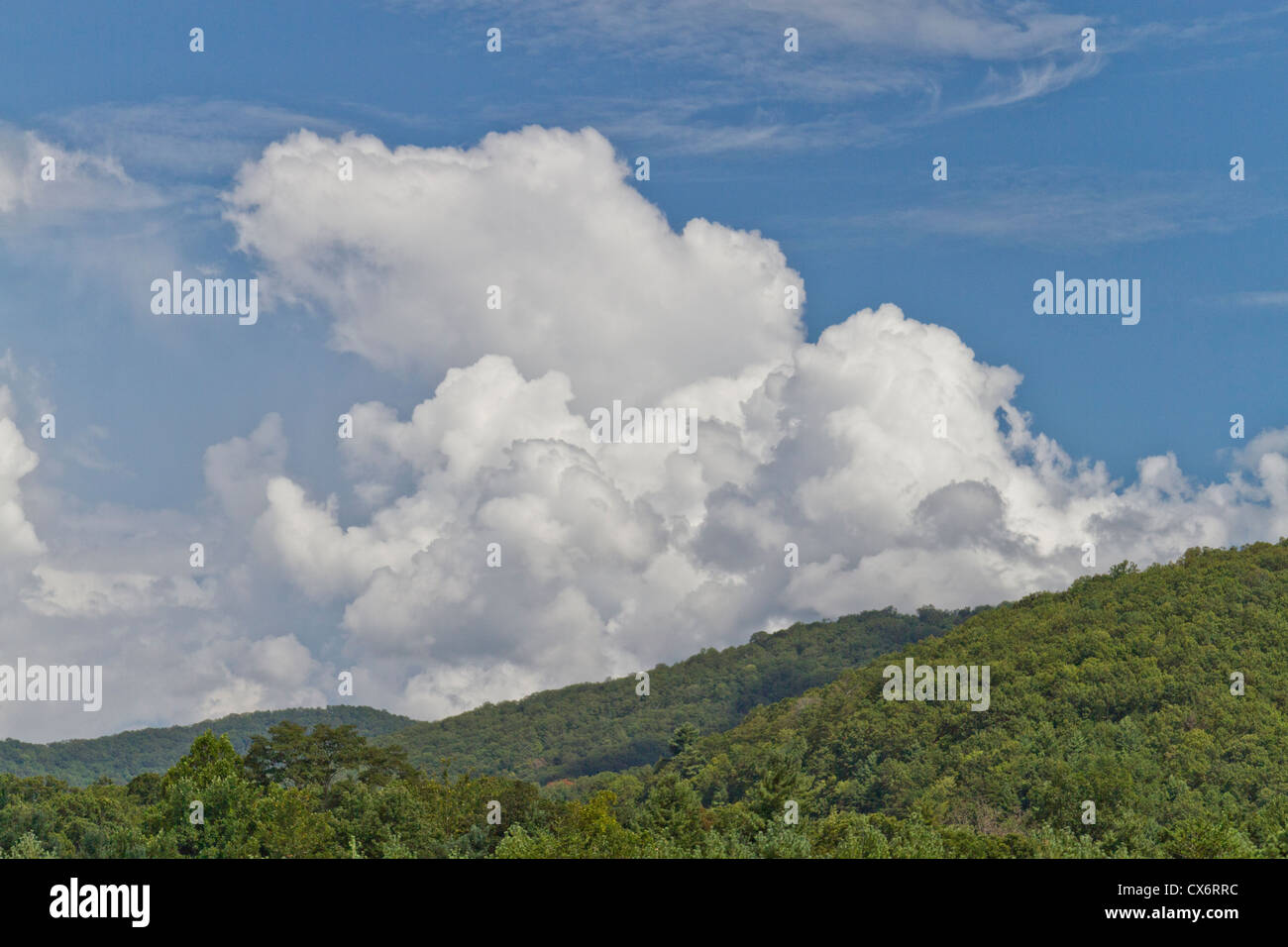 Cumulus nubi edificazione su montagne boscose, foriero di wet weather in anticipo Foto Stock