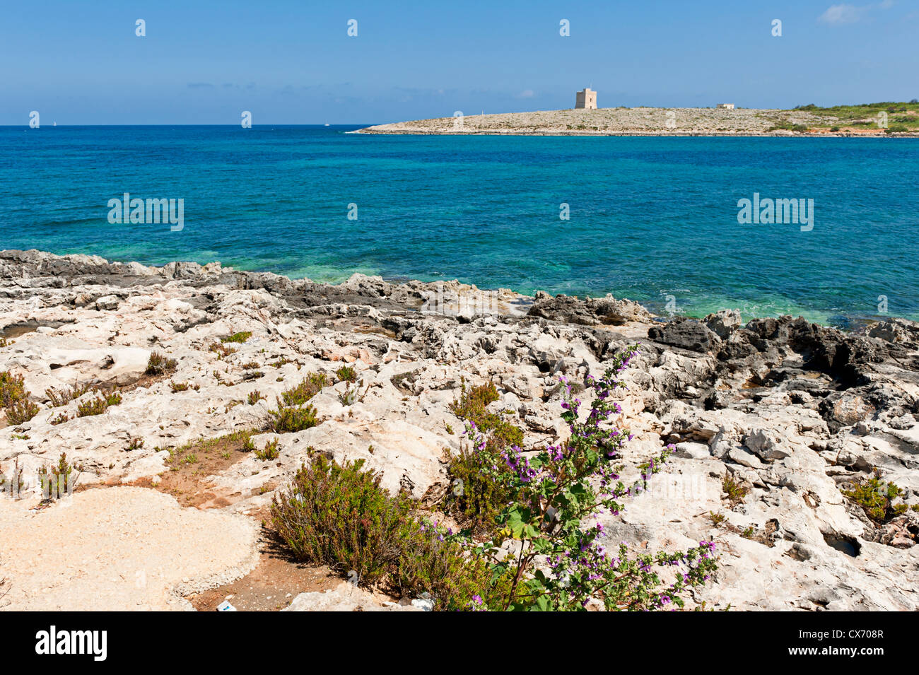 Costa maltese con torre di avvistamento Foto Stock