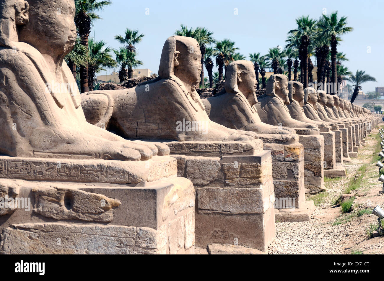 Antiche statue egiziane linea Foto Stock
