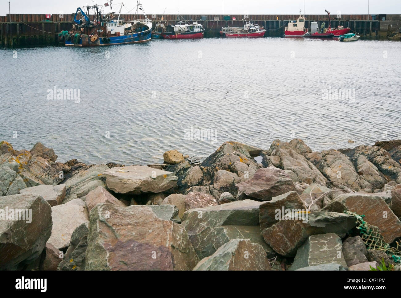 Barche da pesca in porto Carradale sulla penisola di Kintyre Argyll and Bute Scozia Scotland Foto Stock