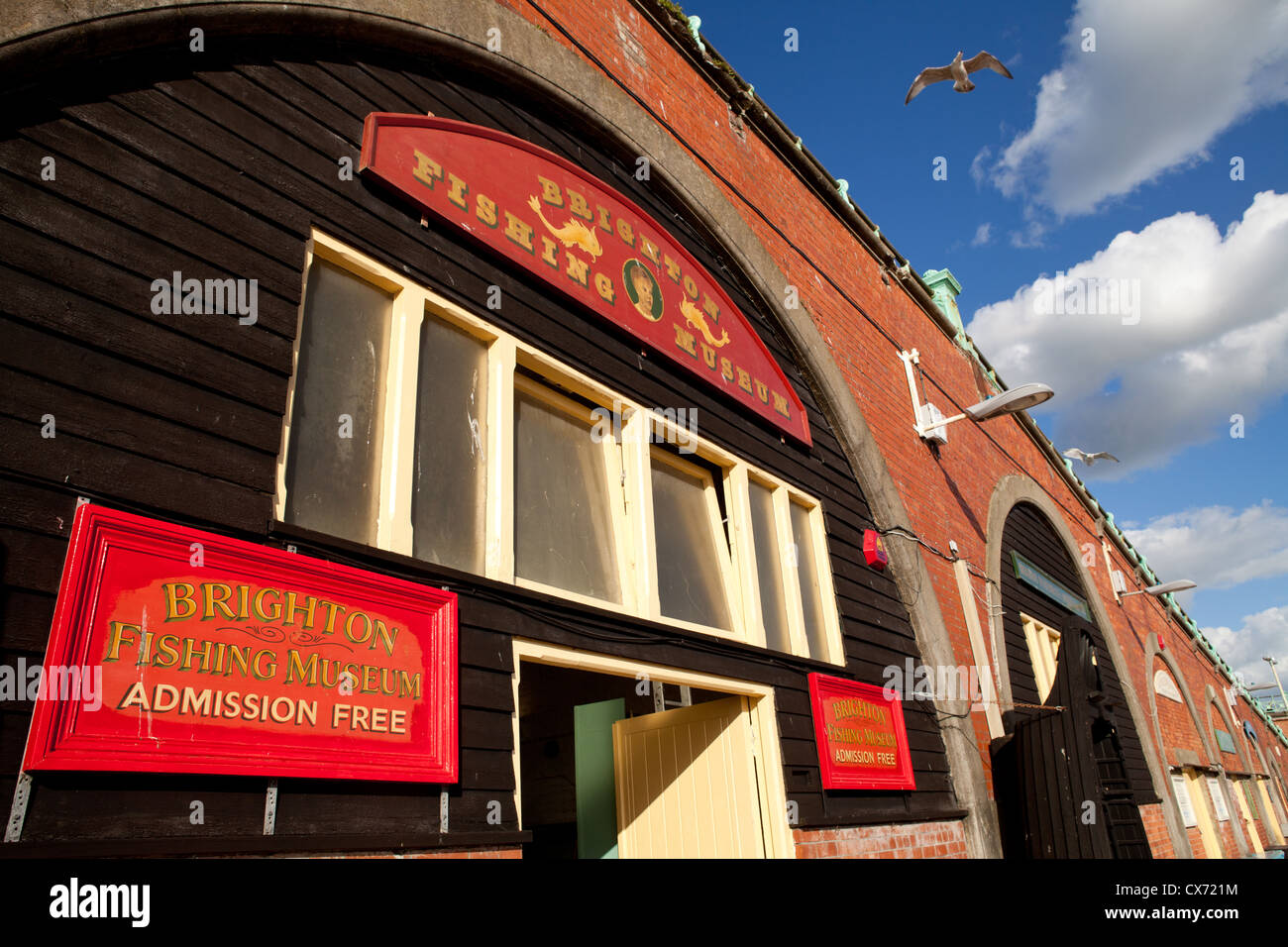 Brighton Il Museo della Pesca Foto Stock