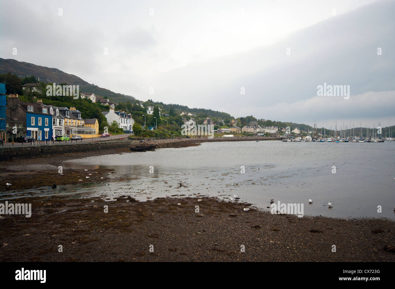 Vista sul Porto di Tarbert sulla penisola di Kintyre Argyll and Bute Scozia Scotland Foto Stock