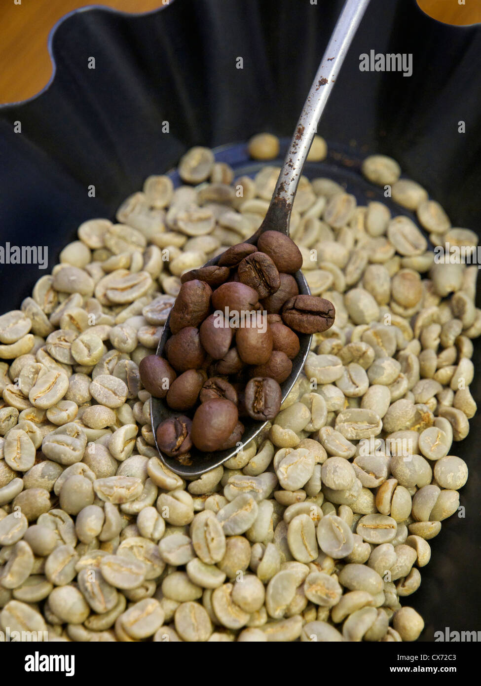 I chicchi di caffè con cucchiaino della stessa fagioli arrosto. Foto Stock
