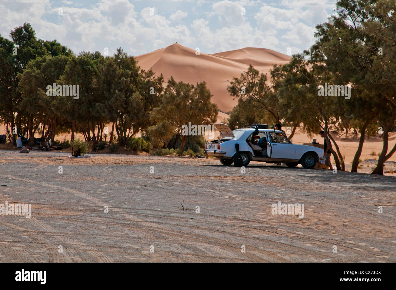 Città del Marocco, people & lifestyle. Foto Stock