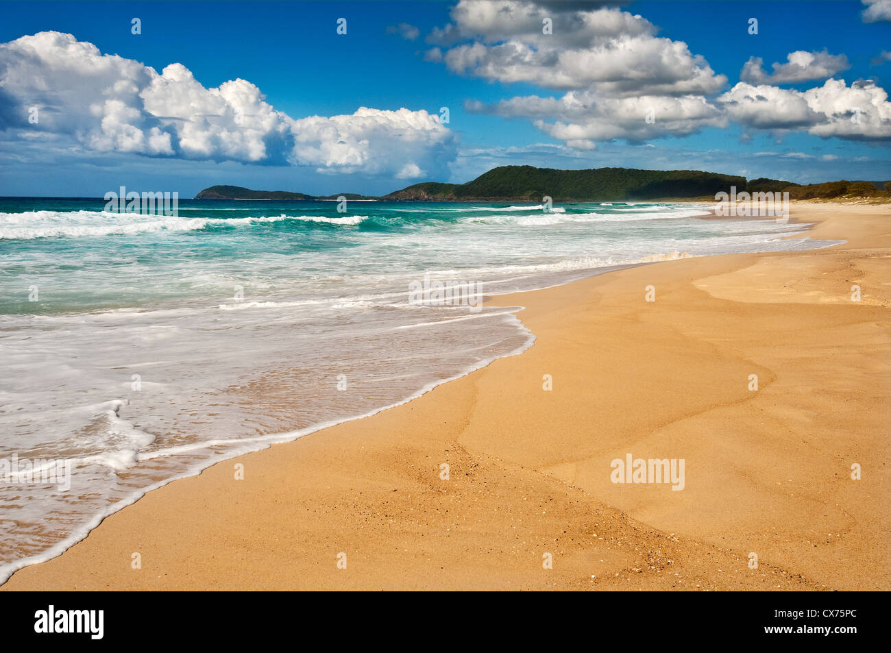 Immacolate Seven Mile Beach in Booti Booti Parco Nazionale. Foto Stock