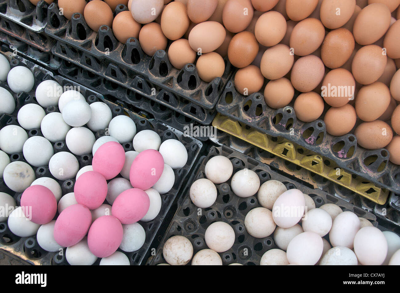 Le uova sulla visualizzazione di mercato giorno Luang Prabang Laos Asia Foto Stock