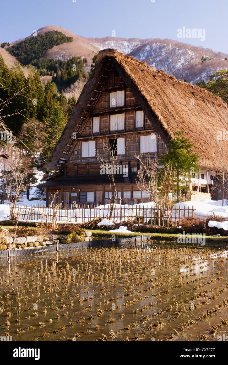 Giapponese tradizionale casa di villaggio con tetto di paglia di riso con campo di fronte; Shirakawa, Gifu, Giappone Foto Stock