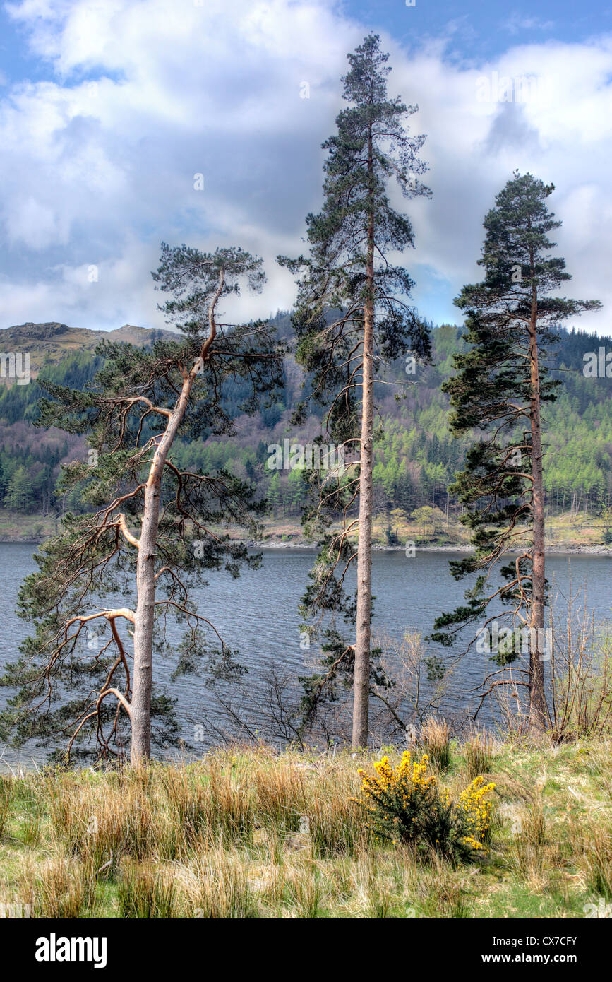 Parco Nazionale del Distretto dei Laghi, a nord ovest dell'Inghilterra, Regno Unito Foto Stock