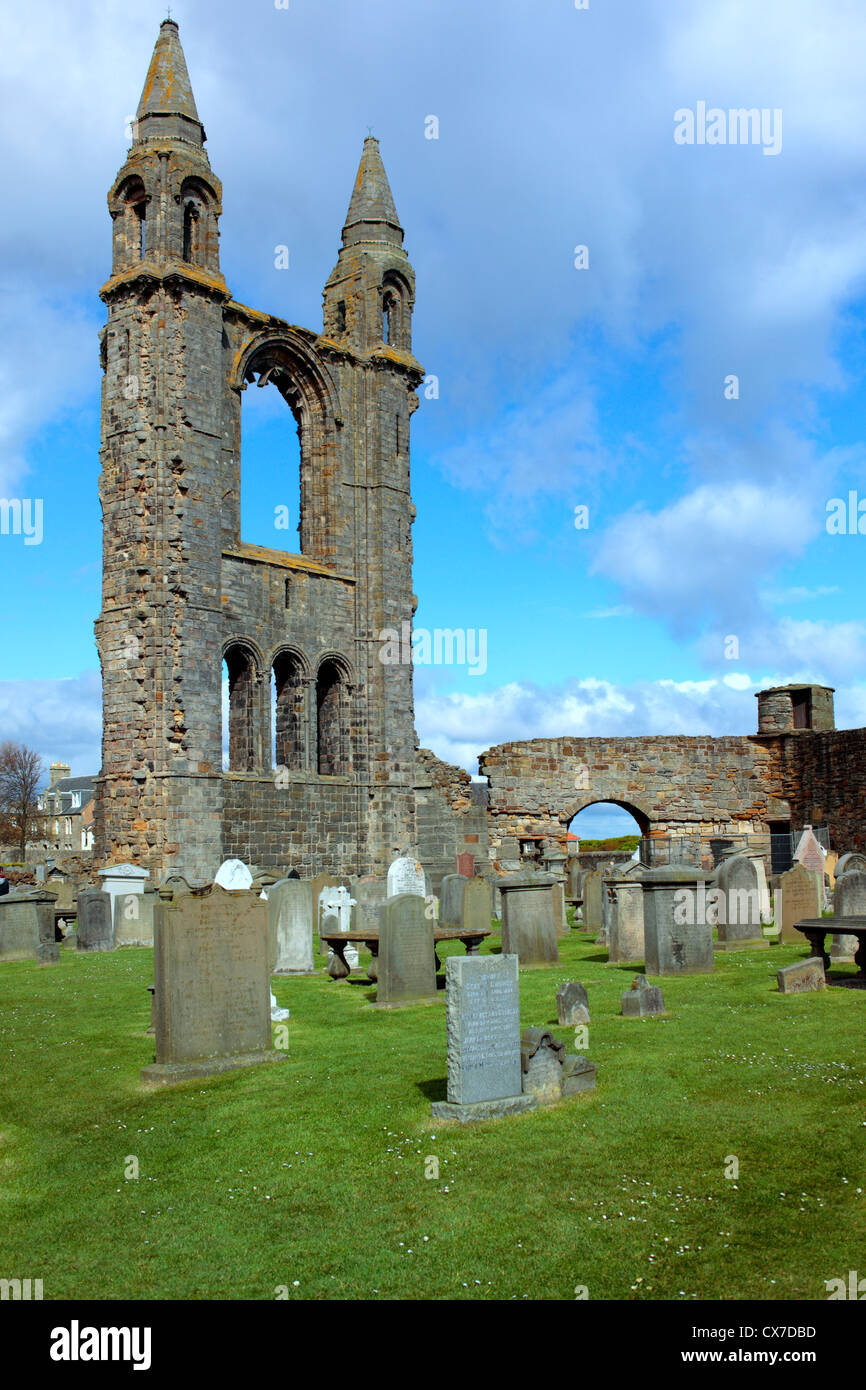 St Andrews Cathedral, St Andrews Fife, Scozia, Regno Unito Foto Stock