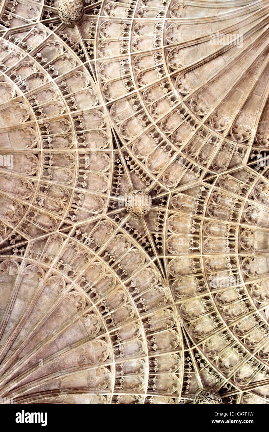 Archivio della ventola in retrochoir, Peterborough Cathedral, Peterborough, CAMBRIDGESHIRE, England, Regno Unito Foto Stock