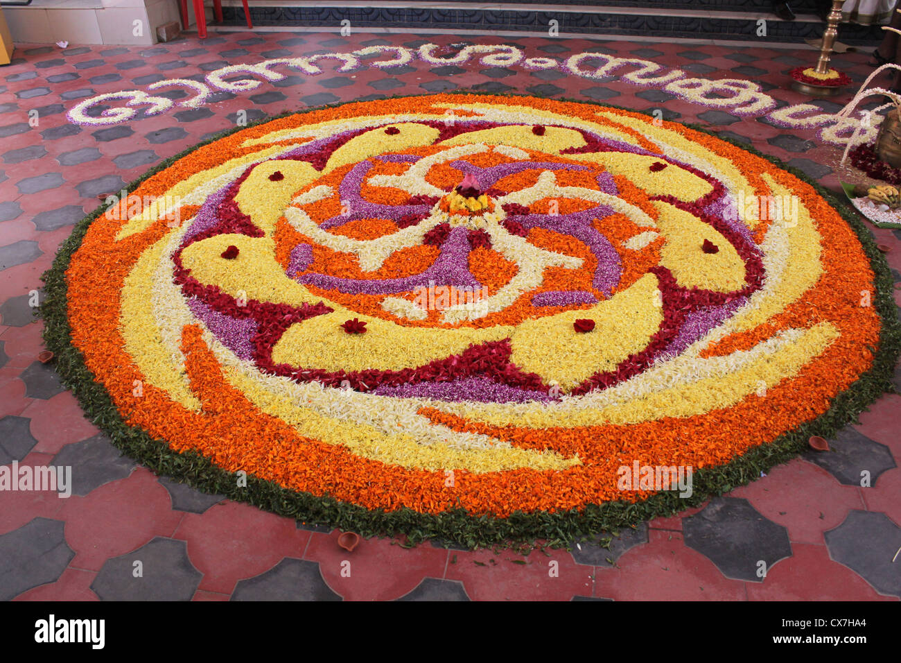 Motivo floreale multicolore decorazione floreale Foto Stock