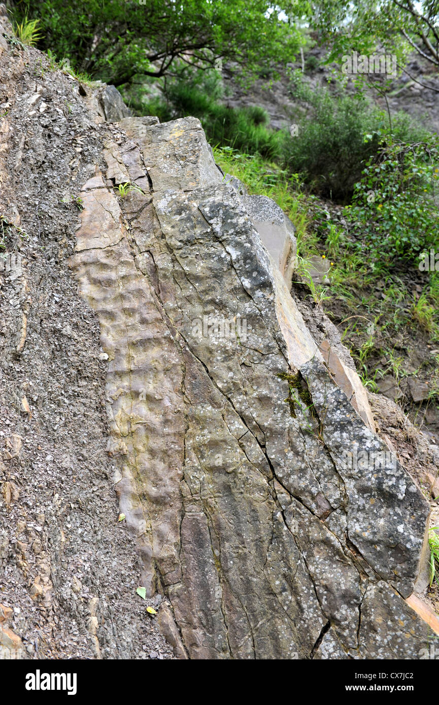 Ripple fossili segna da antiche costiere azione d'onda sono state conservate nelle rocce sedimentarie nella Malvern Hills Foto Stock