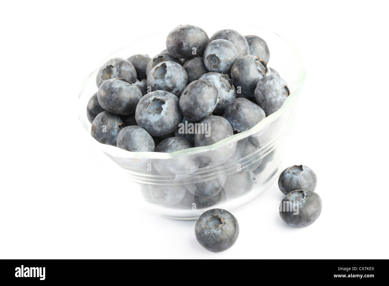 Bacca blu Foto Stock