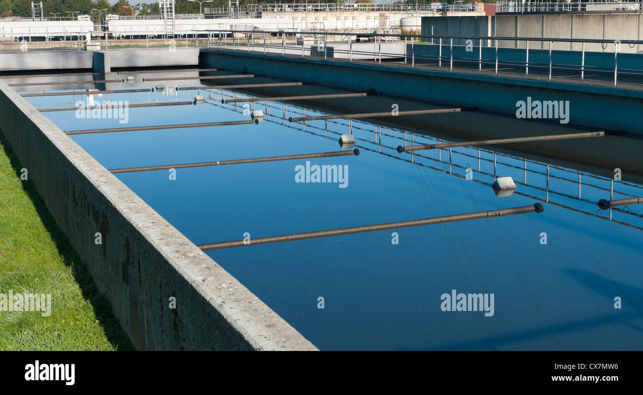 Bassin dove lo spreco di acqua viene filtrata Foto Stock