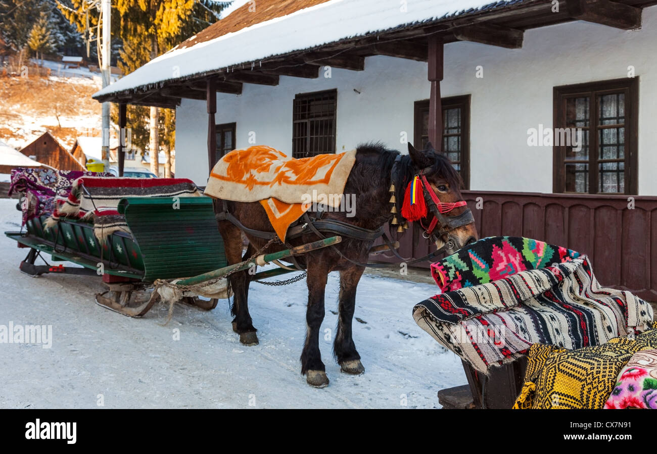 Tradizionale della slitta a cavallo in attesa per i clienti di fronte ad una caratteristica casa in un piccolo touristic villaggio rumeno. Foto Stock