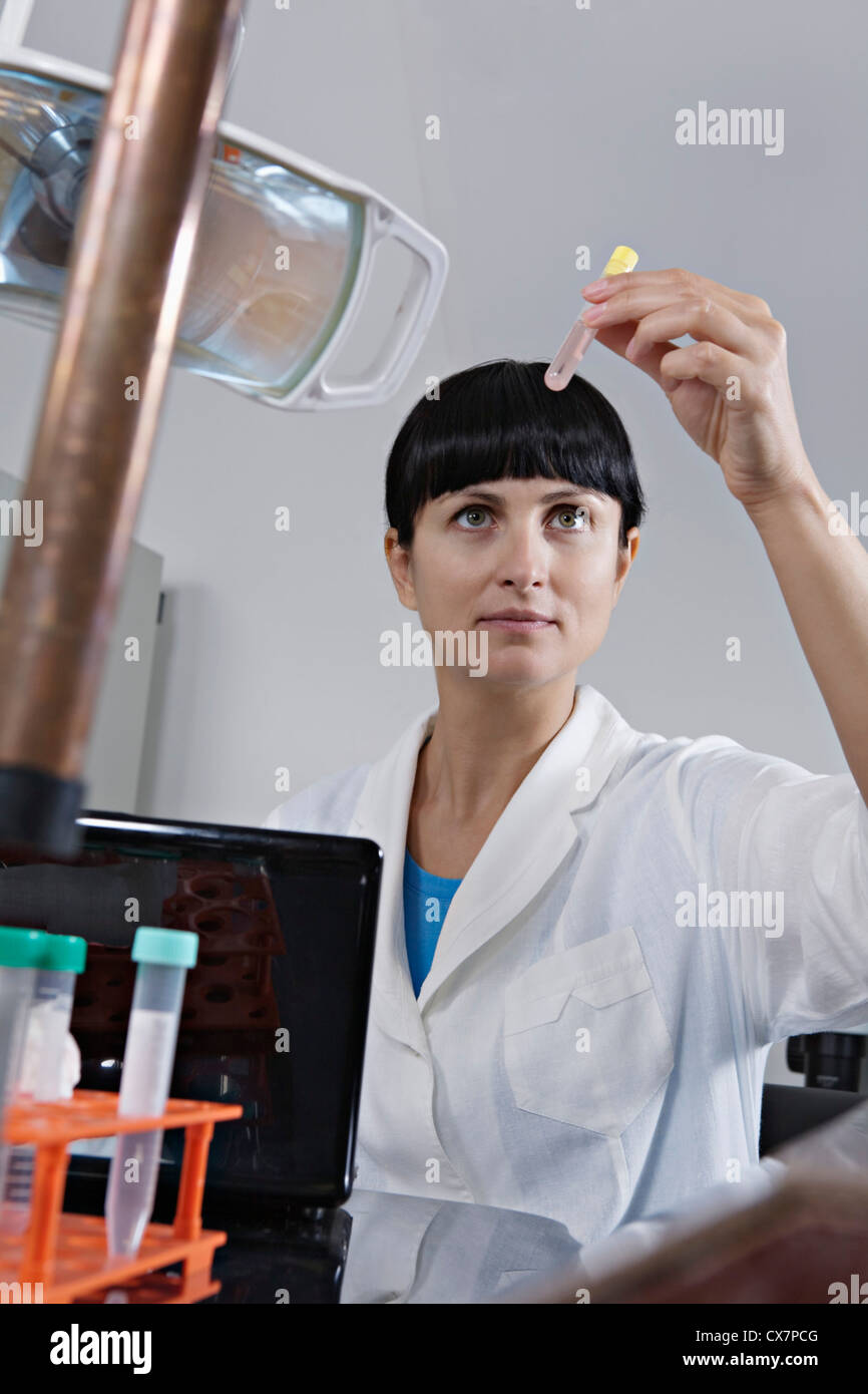 Un tecnico di laboratorio esaminare una provetta piena di liquido Foto Stock